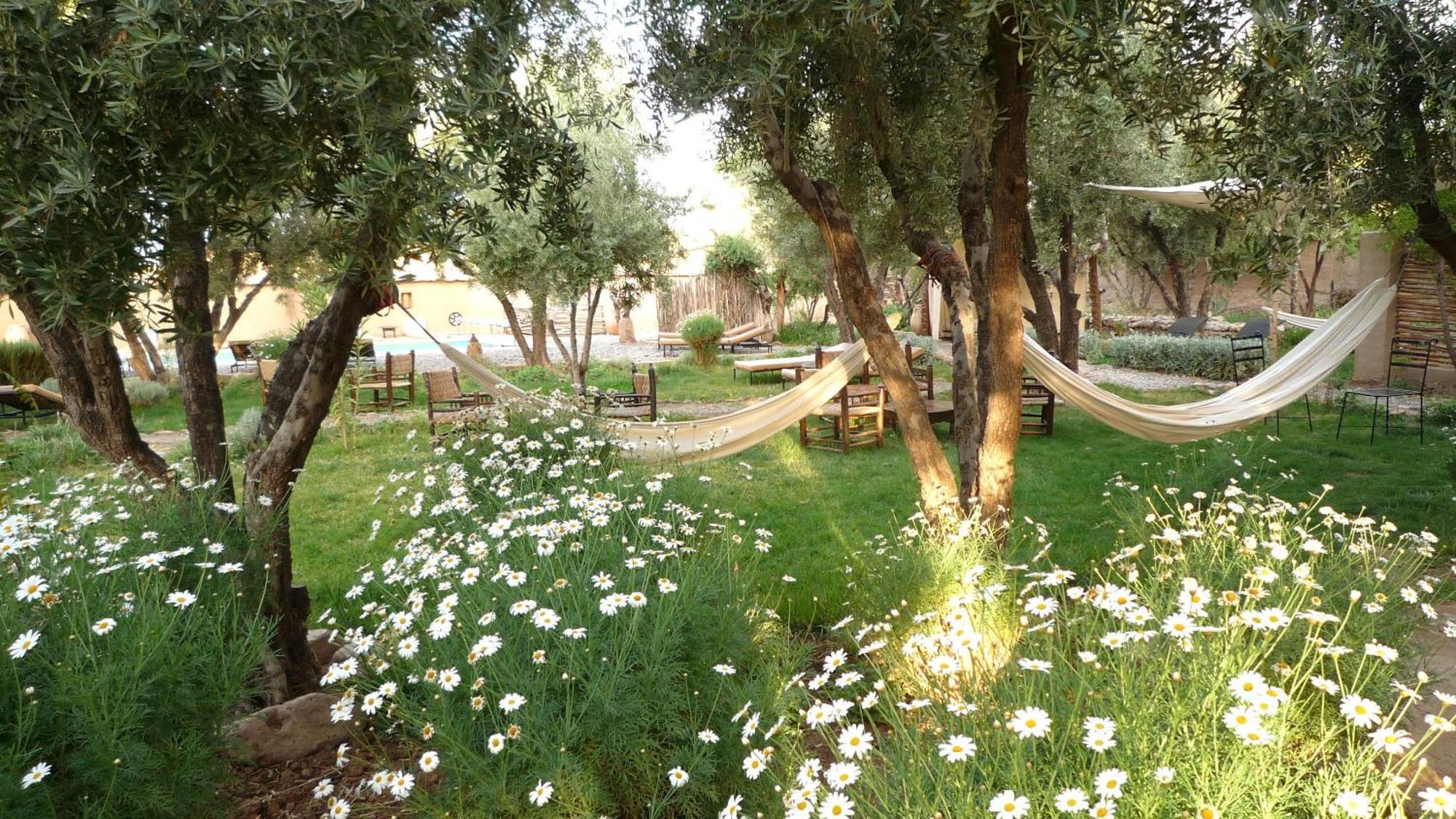 Les Jardins De Skoura Bed & Breakfast Exterior foto