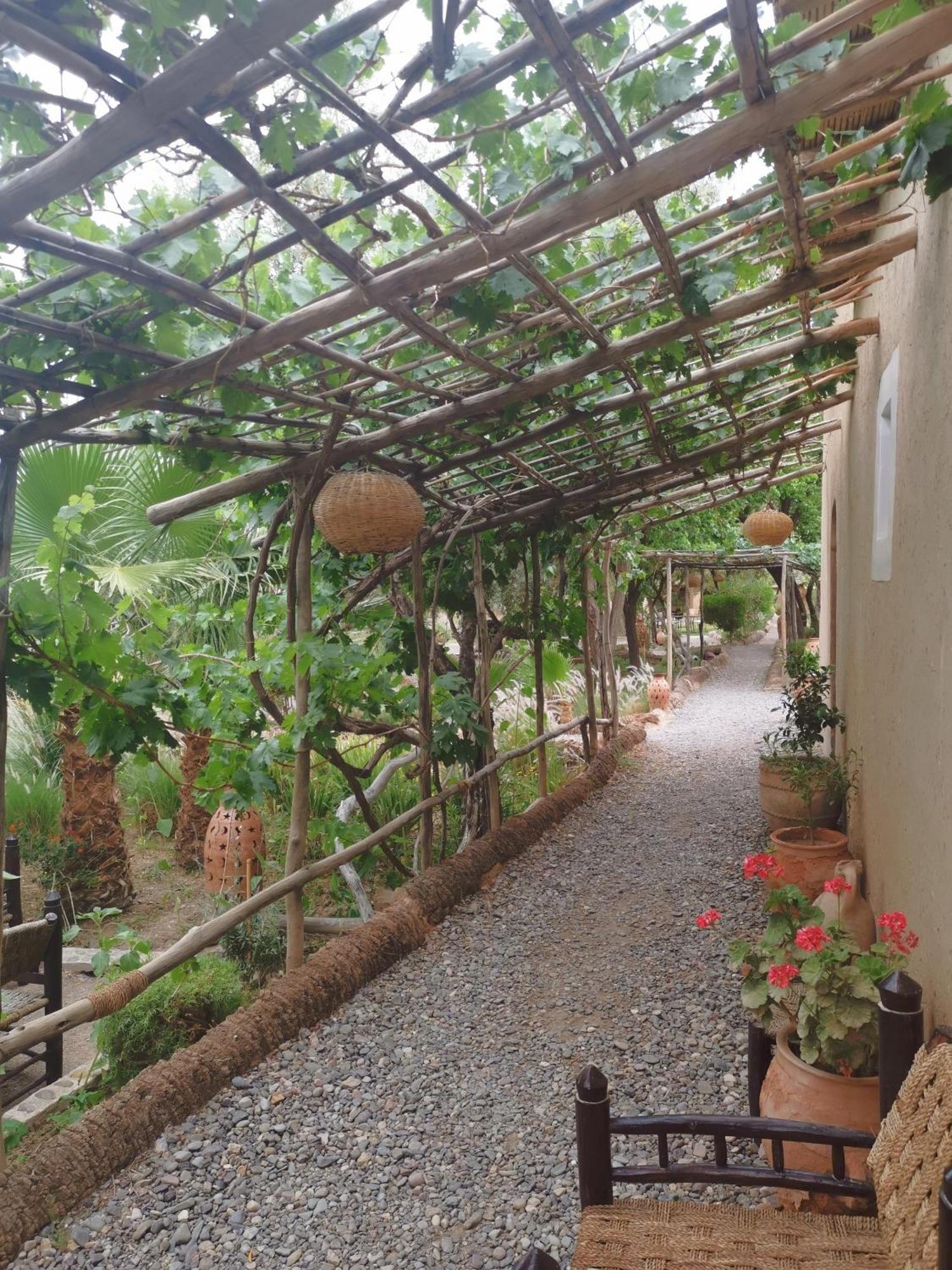 Les Jardins De Skoura Bed & Breakfast Exterior foto